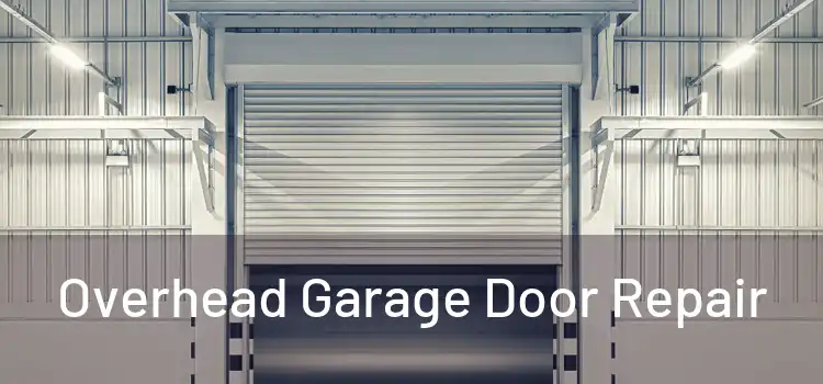  Overhead Garage Door Repair 